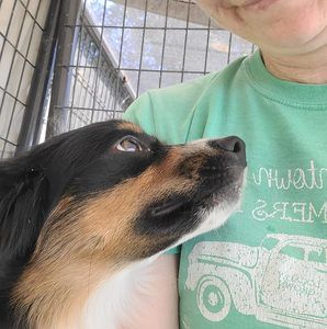 Meet your Posher, Brandy